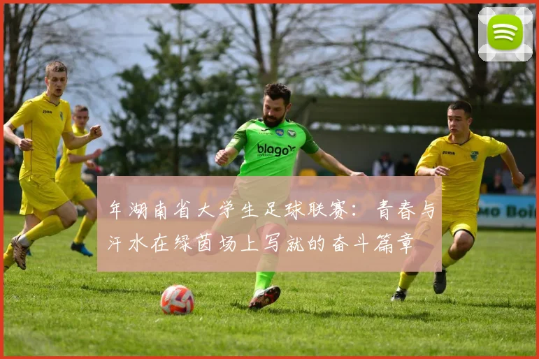 年湖南省大学生足球联赛：青春与汗水在绿茵场上写就的奋斗篇章