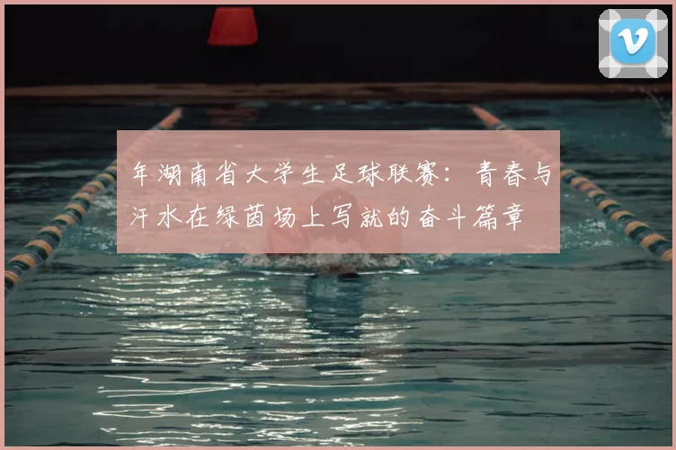 年湖南省大学生足球联赛:青春与汗水在绿茵场上写就的奋斗篇章